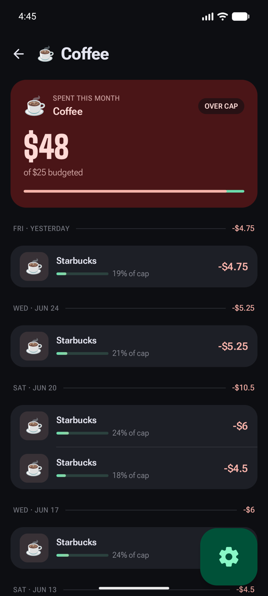 A single budget in detail